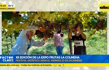 XII edición de la expo frutas La Colmena