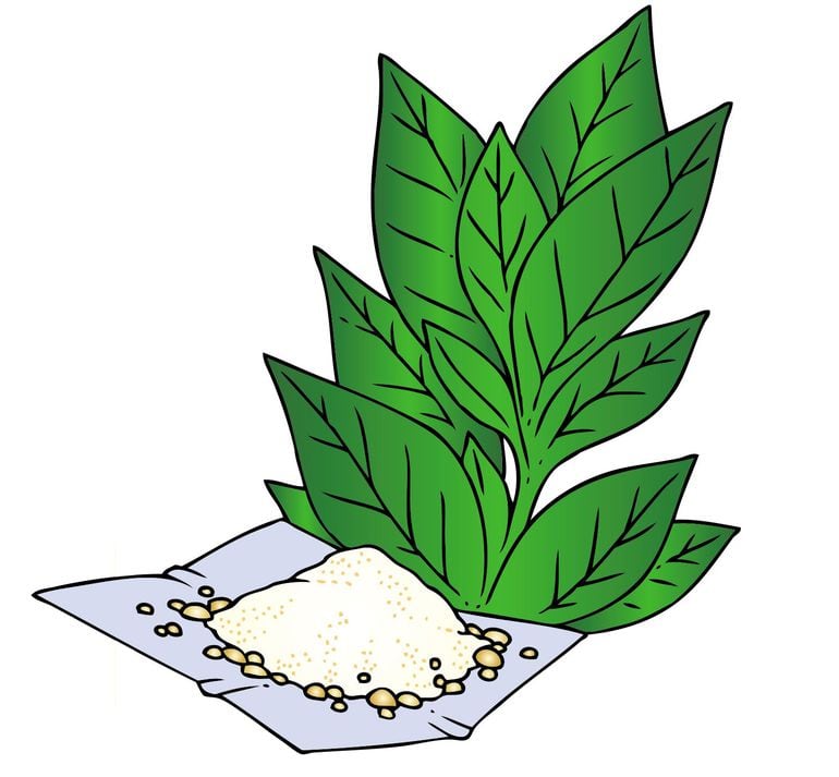 Cocaína Escolar ABC Color