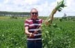 El ingeniero Rubén Sanabria exhibe un cultivo de soja, en un campo de producción de Alto Paraná.