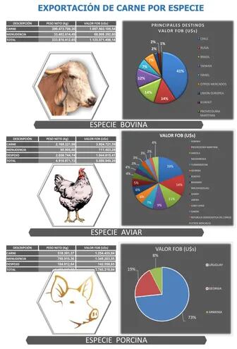 Volante informativo sobre las exportaciones de carne bovina, porcina y aviar, desde enero hasta julio, según el Senacsa.
