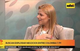Buscan explorar negocios entre Colombia y Paraguay