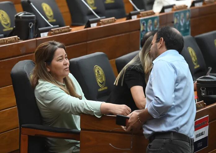 La diputada cartista Cristina Villalba planteó que el pleno se constituya en comisión para tratar en la fecha del proyecto, pero perdieron en la votación.