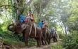 Elefantes en Bali.