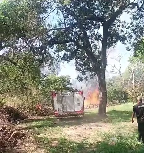 Principio de incendio en jardín Botánico. Captura de video.