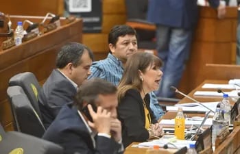 La diputada Celeste Amarilla (PLRA) cuestionó el proyecto de ley presentado por la diputada cartista Blanca Vargas de Caballero.