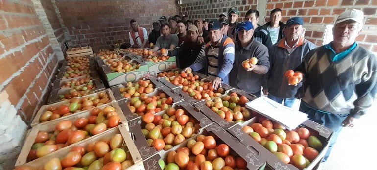 Tomateros de la compañía San Antonio de Coronel Oviedo, junto con tomates que no pueden vender.