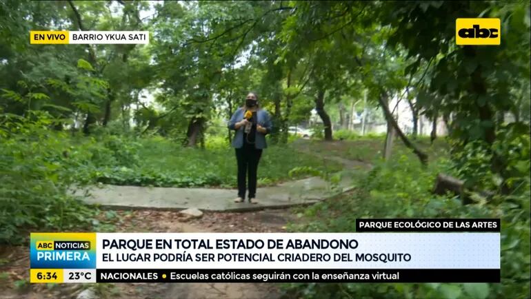 La Municipalidad de Asunción debe controlar y limpiar la Plaza Ecológica de las Artes, donde proliferan los mosquitos transmisores del dengue.