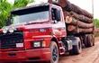 un-camion-de-gran-porte-repleto-de-rollos-de-diversas-especies-en-la-zona-de-yvyrarobana-canindeyu-con-destino-a-la-ciudad-de-hernanda-rias-alto-213115000000-1353618.jpg