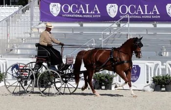 Ocala Equestrian Center Florida Estados Unidos, Para revista dominical
Marta Escurra 25-08-2023