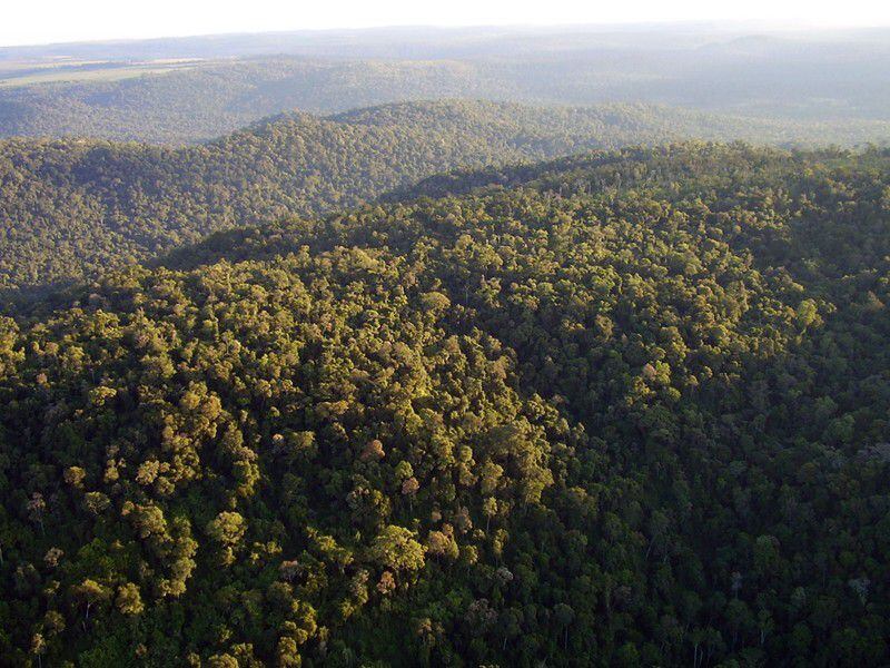 Vista aérea de la cordillera del San Rafael, donde se encuentra uno de los últimos remanentes de selva nativa del Bosque Atlántico Alto Paraná (BAAPA).
