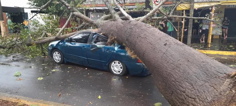 Un vehículo quedó aplastado tras la caída de un árbol tras un temporal en Encarnación, hoy.
