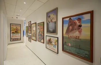 carteles-de-peliculas-protagonizadas-por-mascotas-como-lassie-13507000000-1801301.jpg