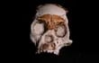 Los fósiles encontrados en las profundidades de una cueva sudafricana formaron parte del cráneo de un niño homínido, aparentemente dejado en un nicho por miembros de su especie hace 250.000 años, dijeron científicos.