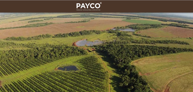 Imágenes de las propiedades de Payco, publicadas en su página web.