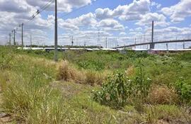 Varios terrenos municipales corren "peligro" de ser vendidos en la Costanera de Asunción a un costo menor al que se esperaba.