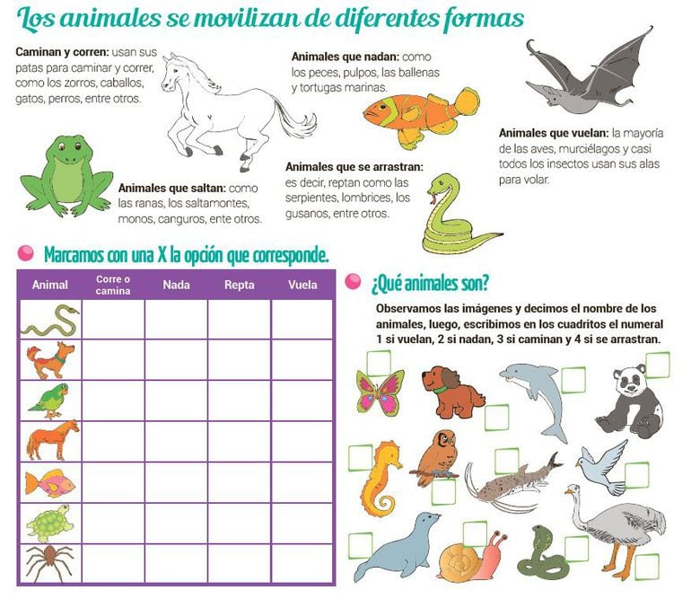 Los animales se desplazan - Escolar - ABC Color