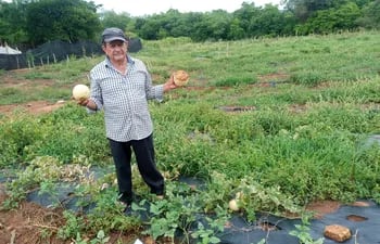 La sequía causó estragos en la producción agrícola de la zona de Ypané.