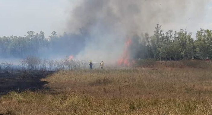 Más de nueve horas de trabajo los bomberos de Acahay y Carapeguá lograron sofocar el incendio en la zona de Cerro Pinto.