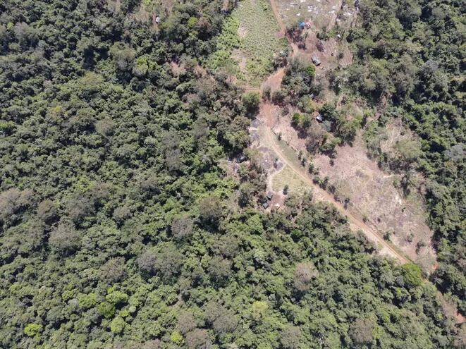 Imágenes aéreas de las ocupaciones y deforestaciones en la propiedad privada.