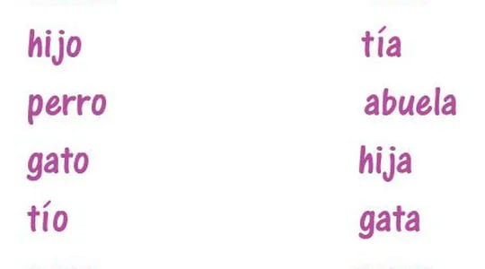 ejemplos de genero masculino y femenino