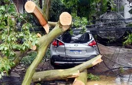 Un automóvil quedó atrapado entre árboles y cables caídos, además de ser afectado por el impacto, en España y General Santos.