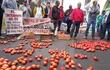 Productores de tomate exigen fin del contrabando