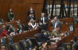 Diputados de la multibancada liberal respaldan el proyecto de ley y piden al presidente del PLRA, Efraín Alegre, que el Directorio liberal siente una postura institucional.
