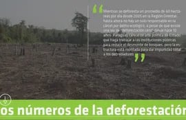 los-numeros-de-la-deforestacion-92134000000-1386983.jpg