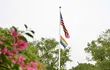 Bandera LGBTQI+ flamea en la Embajada de Estados Unidos en Paraguay