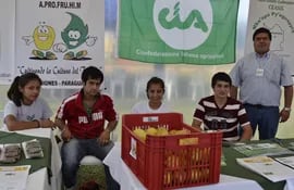 stand-expo-ases-misiones-191751000000-1069948.JPG
