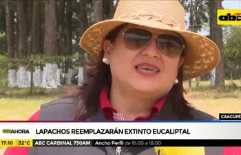 Lapachos reemplazarán extitno eucaliptal