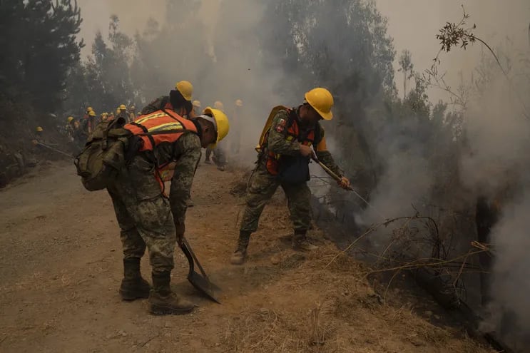 Brigadistas del Ejército Mexicano combaten un incendio en la comuna de Santa Juana, región del Biobío (Chile).