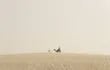 Un turista monta en camello en el desierto de Catar en una imagen tomada el 16/09/2022. Observar la inmensidad del desierto blanco y su rojo atardecer, sentir  la adrenalina al recorrer sus dunas en 4x4 y sorprenderte con un mar en medio de la arena, son tan solo algunas de las maravillas que esconde el desierto catarí y visita obligada para todos los que acudan al Mundial de Qatar 2022.