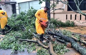 Cuadrillas de la municipalidad trabajan a estas horas para despejar las calles retirando los árboles caídos.