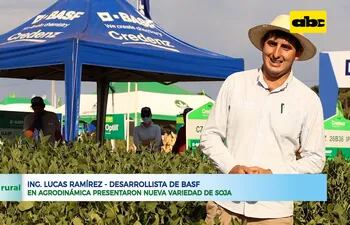ABC RURAL: BASF y su nueva variedad de soja