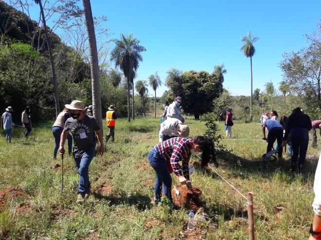 Estudiantes de Ciencias Agrarias de la UNA, instruyen a productores sobre el cultivo de la Yerba Mate
