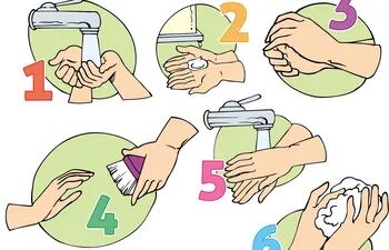 Higiene personal: cómo lavarse bien las manos y por qué es importante -  Escolar - ABC Color