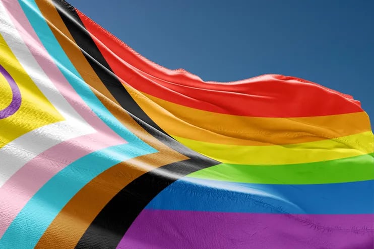 Bandera de la comunidad intersexual.