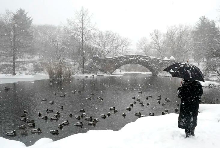 Una persona pasea junto al puente  Gapstow en el Central Park durante la tormenta invernal.