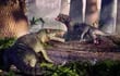 Cuarenta millones de años antes de reino de los dinosaurios, Pampaphoneus biccai dominaba América del Sur como el carnívoro más grande y sanguinario de su tiempo.