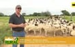 ABC Rural: Nutrición y manejo sanitario de ovinos en el Chaco