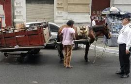 el-calor-multiplica-el-esfuerzo-de-los-caballos-en-las-calles-para-peor-los-carritos-no-siempre-estan-en-condiciones--211419000000-1034524.jpg