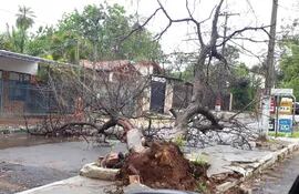 temporal causa destrozos en San Antonio