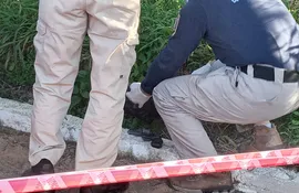 Según reportaron desde la Fiscalía, el arma fue encontrada abandonada en una bolsa de plástico al costado del cementerio Parque Serenidad, en Villa Elisa.