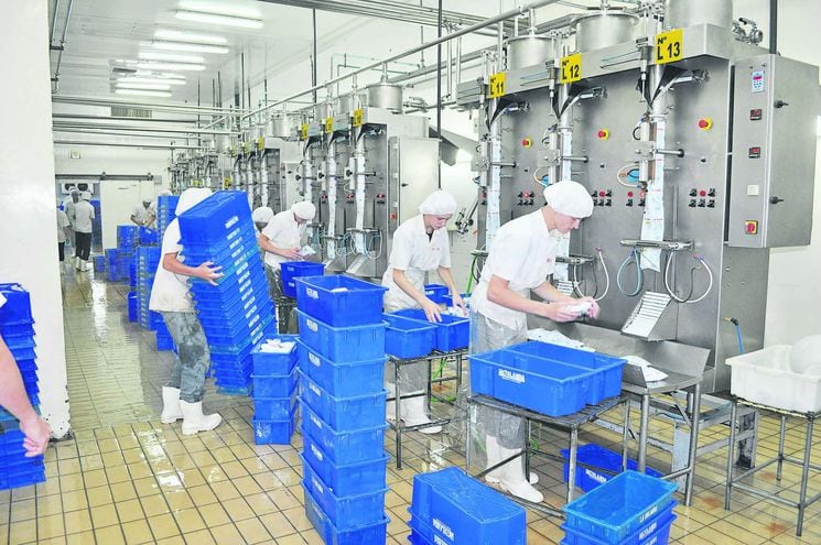 Industria láctea en pleno trabajo de producción y empaquetado.