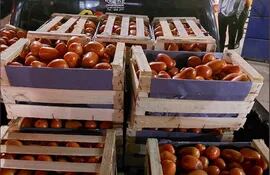 Incautan 20 mil kilos de tomate de contrabando.
