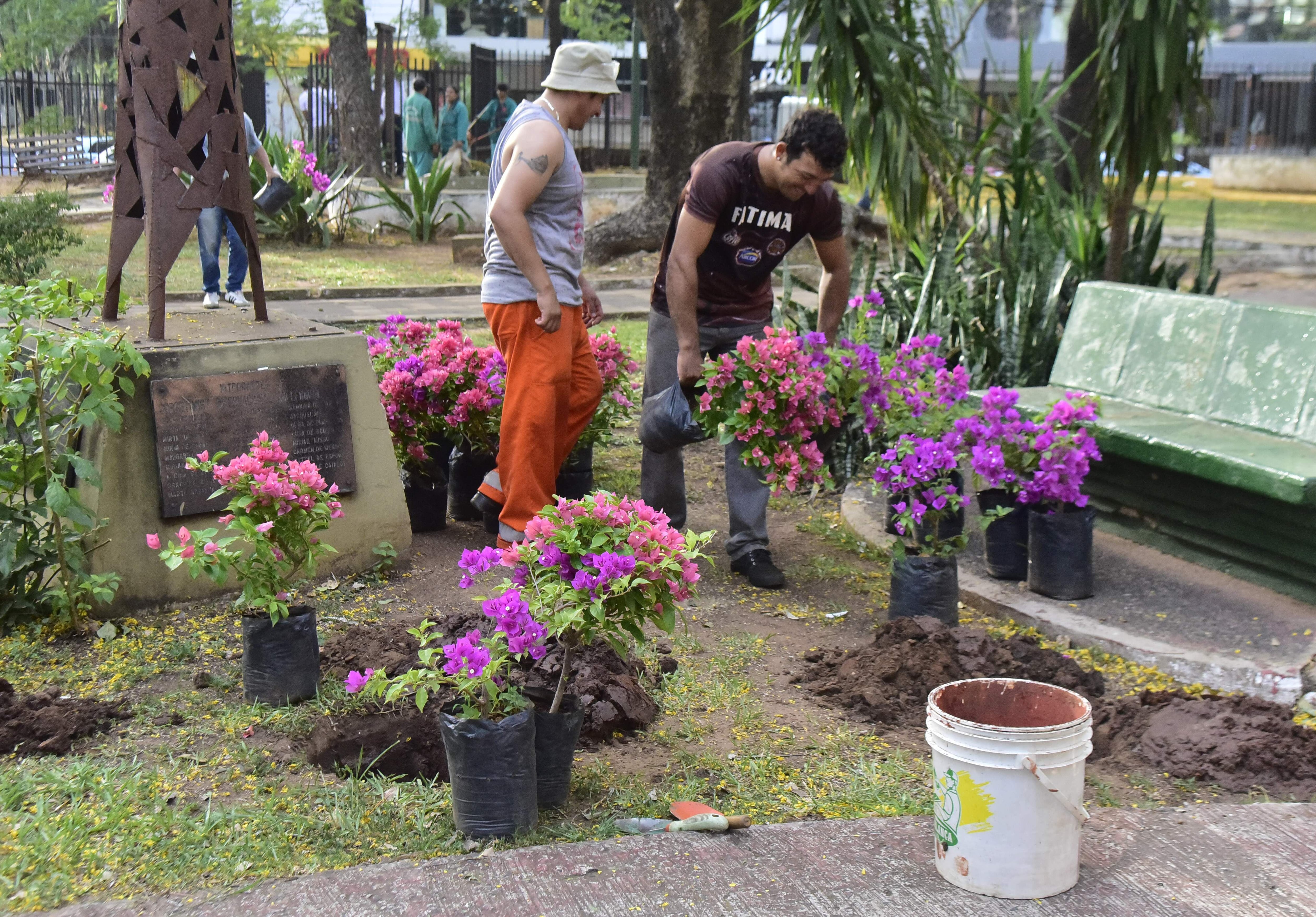 Se cultivaron al rededor de 40 plantines de Santa Rita en la plaza, que ofrecieron la belleza de sus flores color rosa claro y lila.