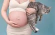 Las mujeres pueden disfrutar de su gato a lo largo del embarazo y ante cualquier duda consultar con un veterinario especialista en enfermedades infecciosas.
