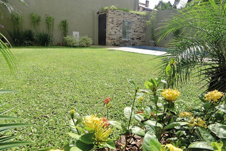 Un césped verde - Nosotras Revista - ABC Color