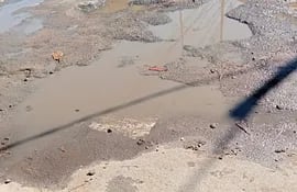 Cráteres y agua servida en la avenida Félix Bogado